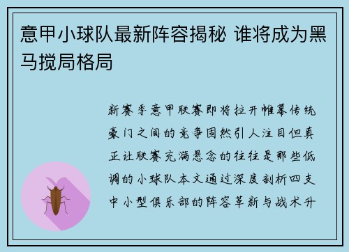 意甲小球队最新阵容揭秘 谁将成为黑马搅局格局